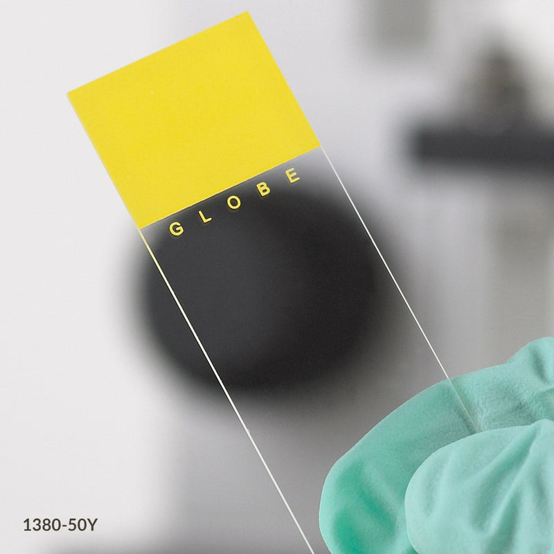 Globe Scientific Diamond® White Glass Slides with 90° Corners | 1380-50N - Microscope Marketplace