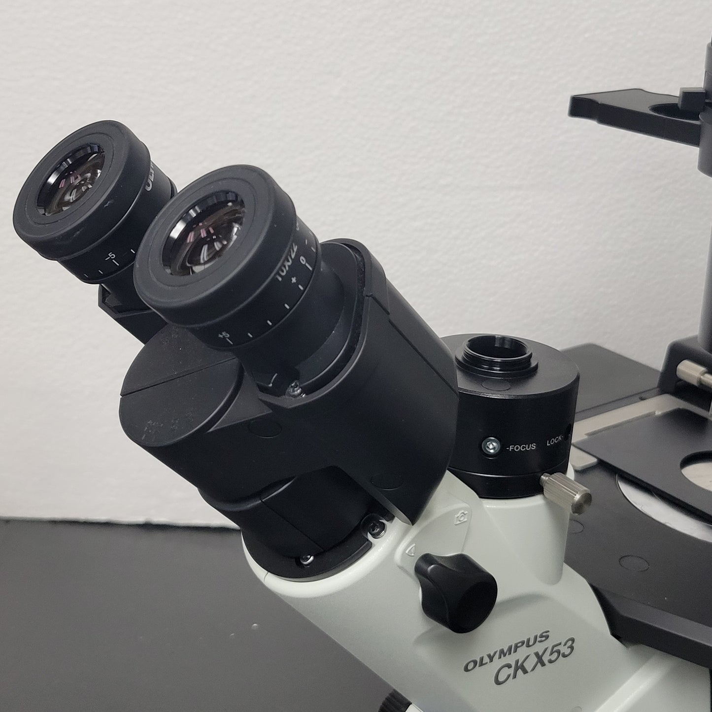 Olympus Microscope CKX53 LED with Phase Contrast & CooLED Fluorescence - microscopemarketplace