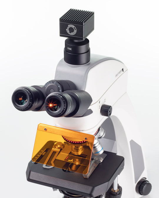 Motic PANTHERA C2 W/ FLED Fluorescence Microscope - microscopemarketplace