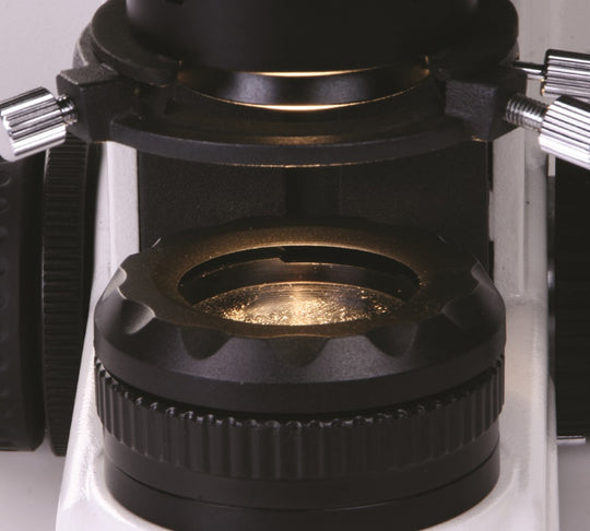 Motic BA310 Halogen Microscope - microscopemarketplace