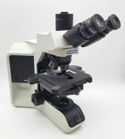 Olympus Microscope BX43 LED with Fluorites | Phase | Trinocular Andrology - microscopemarketplace