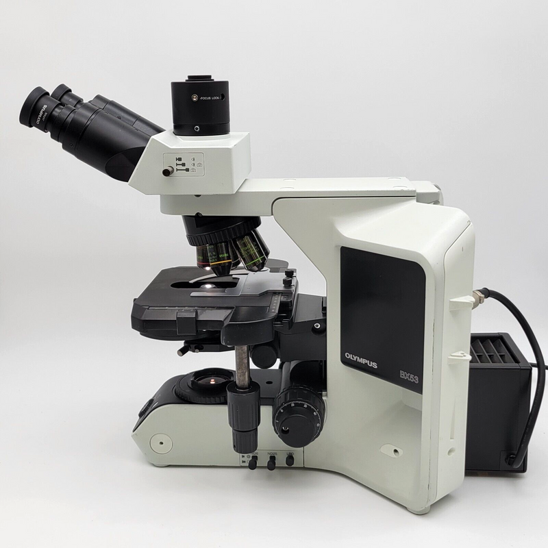 Olympus Microscope BX53 with Fluorites, Phase Contrast, and Trinocular Head - microscopemarketplace