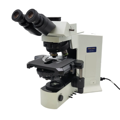 Olympus Microscope BX51 LED with DIC and Fluorite Objectives - microscopemarketplace