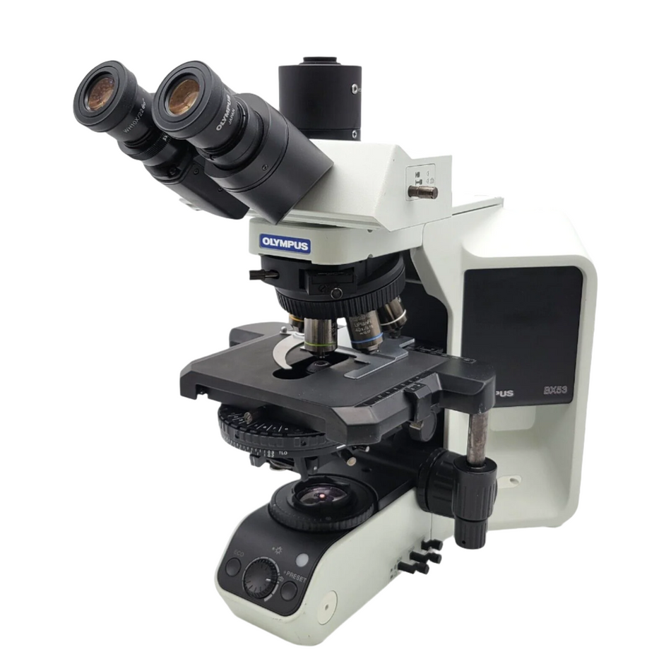DIC / Nomarski Microscopes | Microscope Marketplace