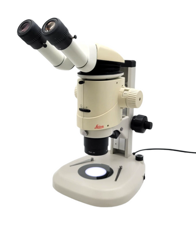 Leica Stereo Microscope MZ16 with Transmitted & Reflected Light Stand & Plan 1x - microscopemarketplace