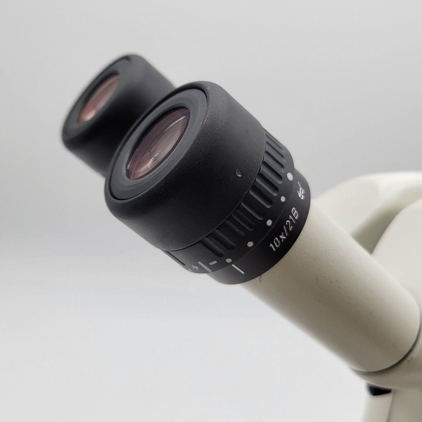 Leica Stereo Microscope MZ16 with Tilting Head & Transmitted and Reflected Light - microscopemarketplace