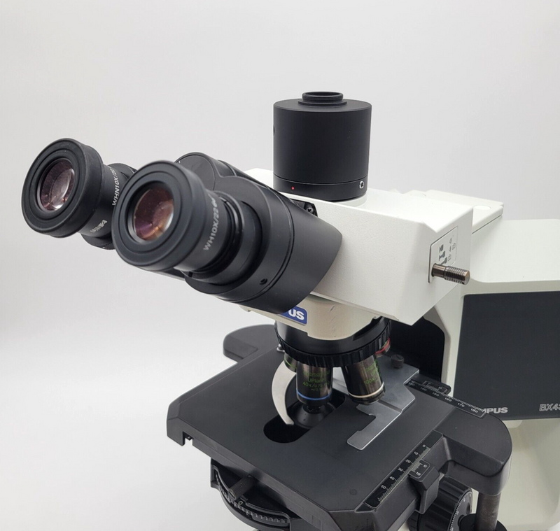 Olympus Microscope BX43 LED with Fluorites | Phase | Trinocular Andrology - microscopemarketplace