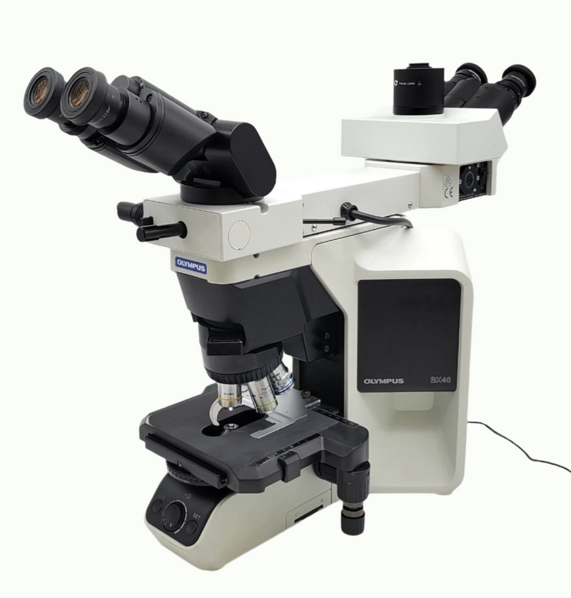 Olympus Microscope BX46 with Tilting Head, Dual Viewing Bridge & 100x Objective - microscopemarketplace