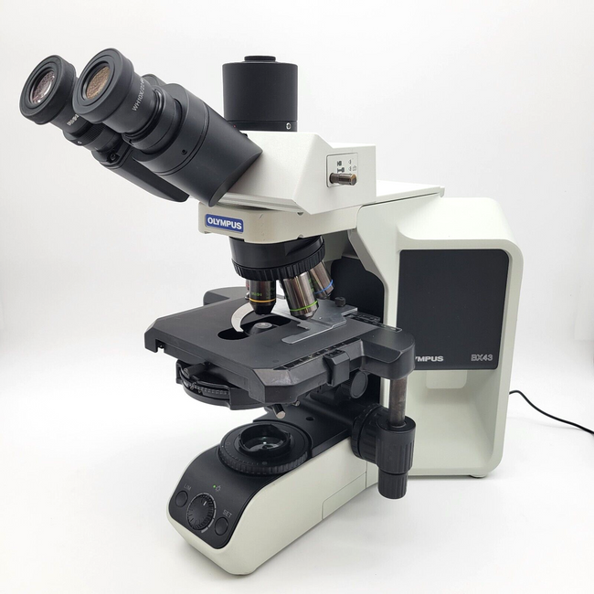 Olympus Microscope BX43 LED with Fluorites | Phase | Trinocular Andrology - microscopemarketplace