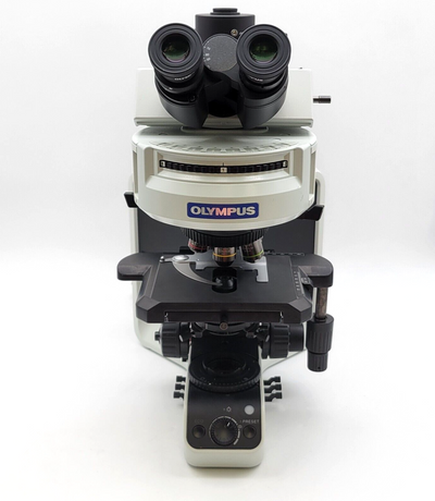 Olympus Microscope BX53 Fluorescence with Trinocular Head - microscopemarketplace