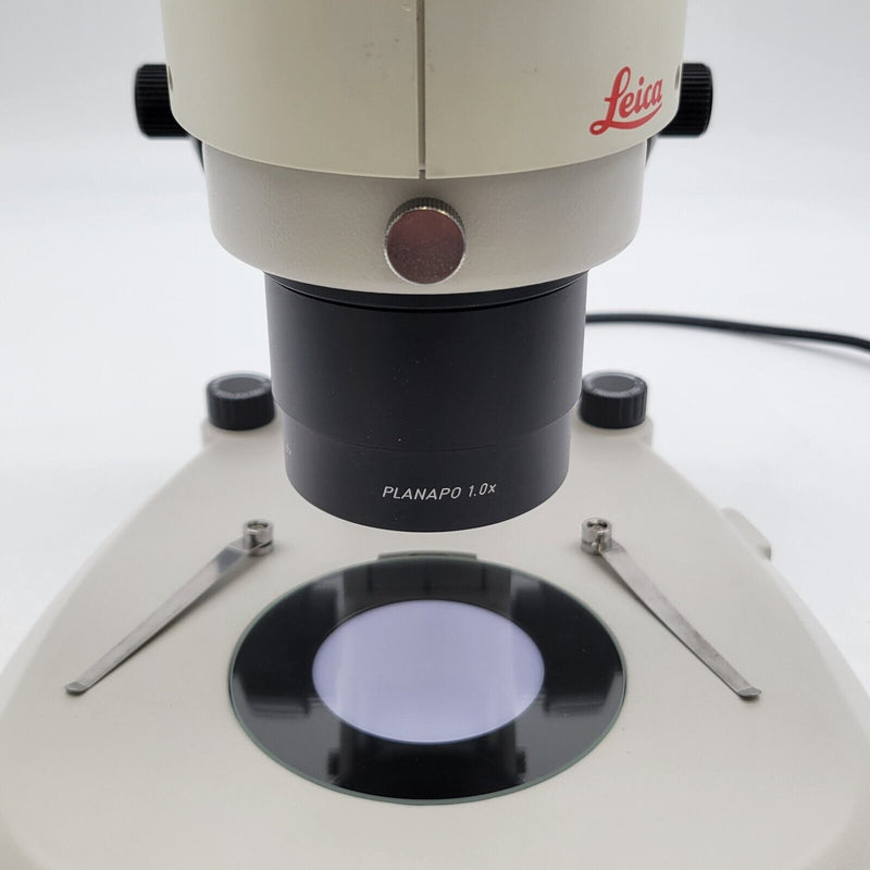 Leica Stereo Microscope MZ16 with Tilting Head & Transmitted and Reflected Light - microscopemarketplace