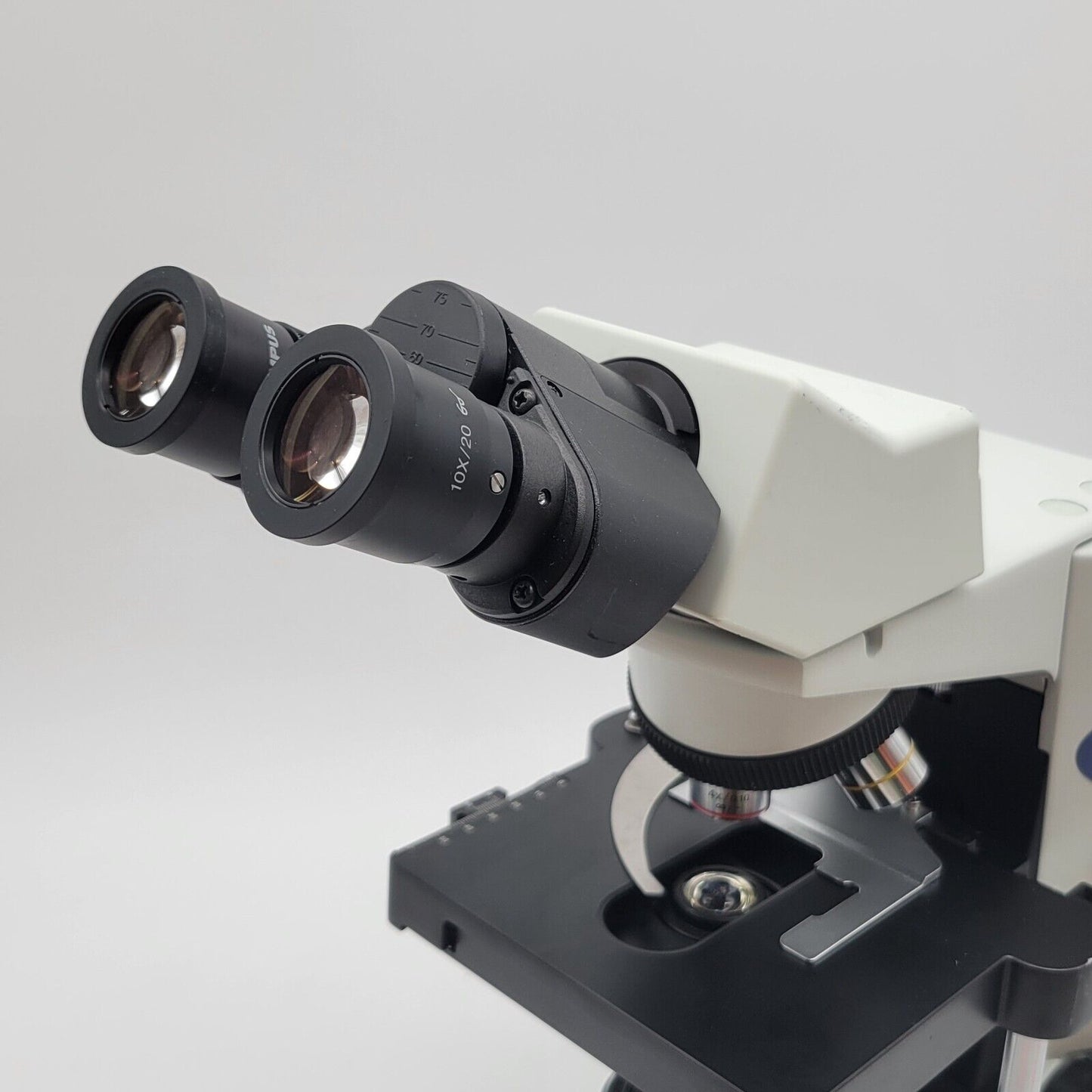 Olympus Microscope CX31 with 4x, 10x, 20x, & 40x Objectives - microscopemarketplace