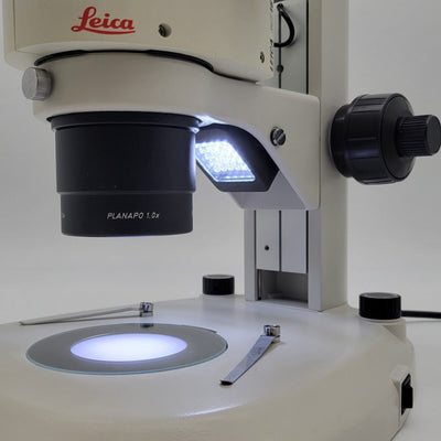 Leica Stereo Microscope MZ16 with Tilting Head & Transmitted and Reflected Light - microscopemarketplace