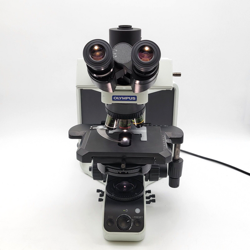 Olympus Microscope BX53 with Fluorites, Phase Contrast, and Trinocular Head - microscopemarketplace