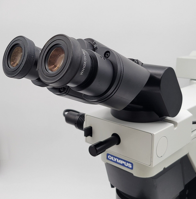 Olympus Microscope BX46 with Tilting Head, Dual Viewing Bridge & 100x Objective - microscopemarketplace