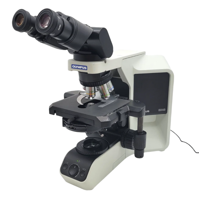 Phase Contrast Microscopes | Microscope Marketplace