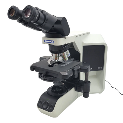 Olympus Microscope BX43 LED with Phase Contrast | Andrology - microscopemarketplace