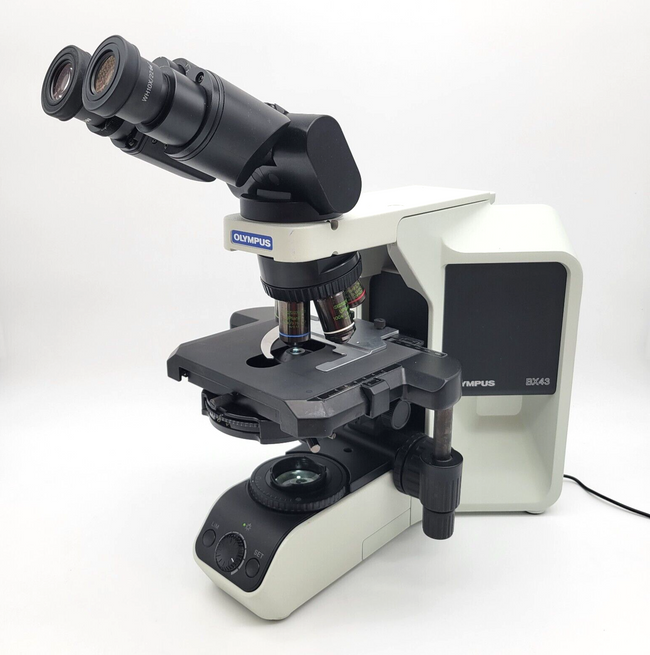 Olympus Microscope BX43 LED with Fluorites | Phase Contrast | Andrology - microscopemarketplace