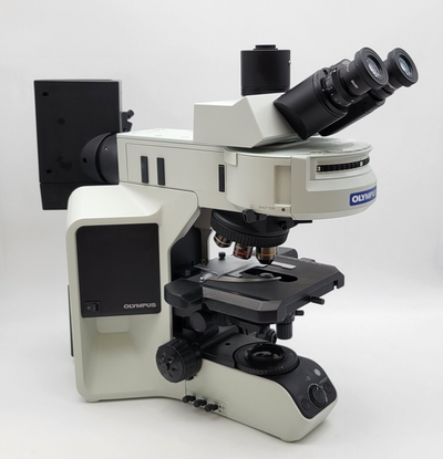 Olympus Microscope BX53 Fluorescence with Trinocular Head - microscopemarketplace