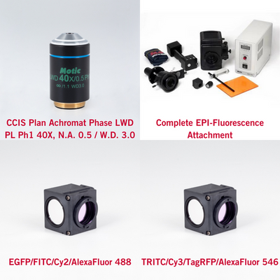 Motic AE31E with FITC and TRITC Filter Fluorescence Bundle Microscope - microscopemarketplace