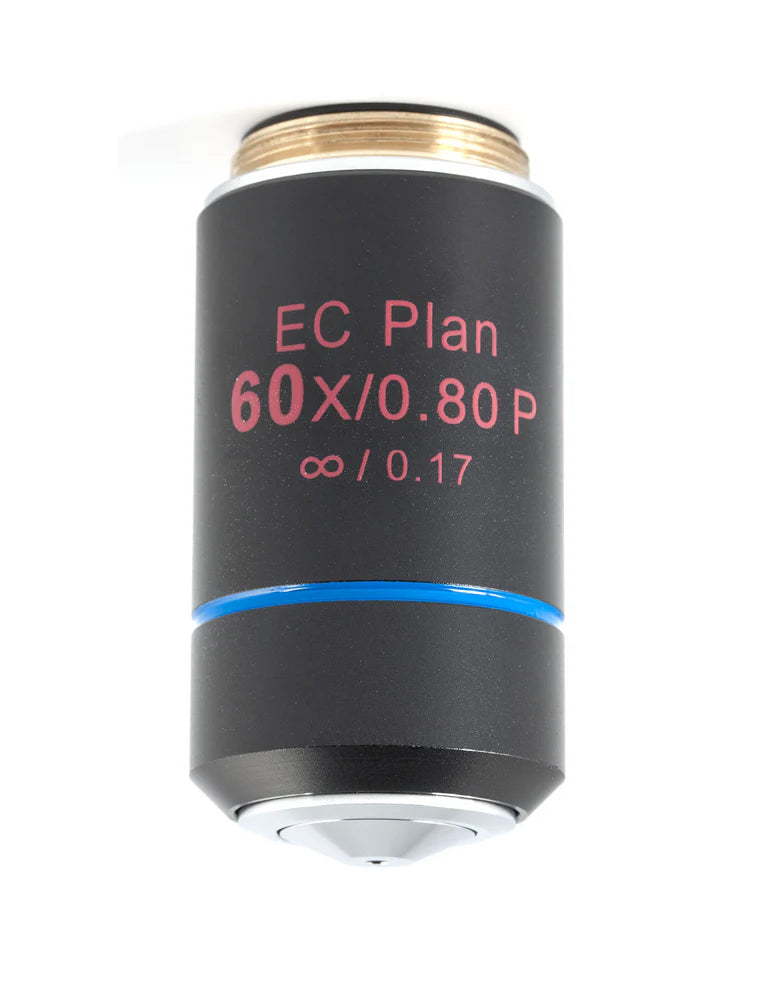 MOTIC EC Plan 60X | (1101001703981) - Microscope Marketplace