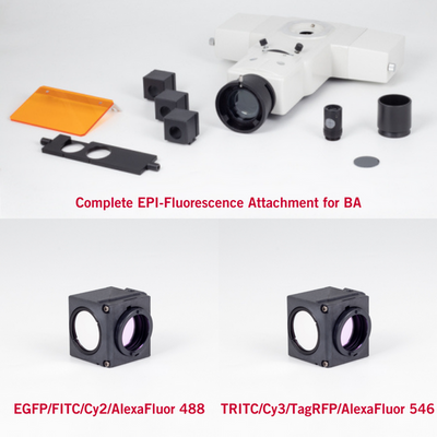 Motic BA410E with FITC and TRITC Filter Fluorescence Bundle Microscope - microscopemarketplace