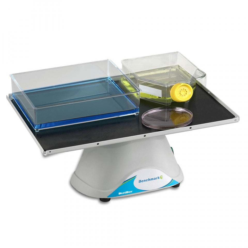 Benchmark Scientific BlotBoy 3-D Rocker (12
