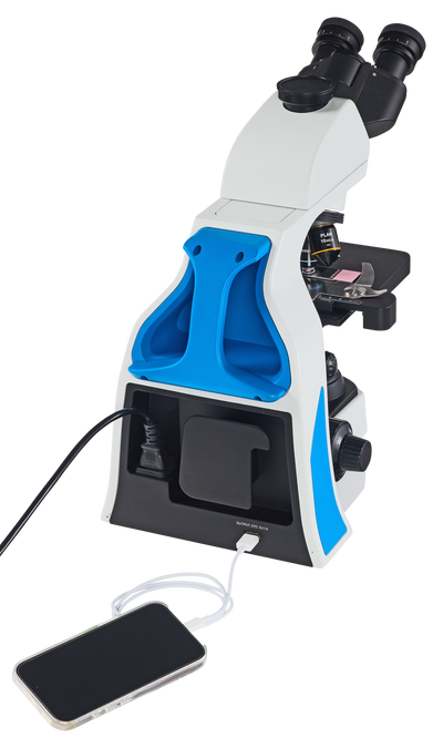 Accu-Scope EXC-250 Microscope - KOH Microscope - microscopemarketplace