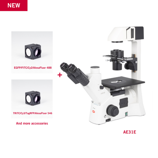 Motic AE31E with FITC and TRITC Filter Fluorescence Bundle Microscope - microscopemarketplace