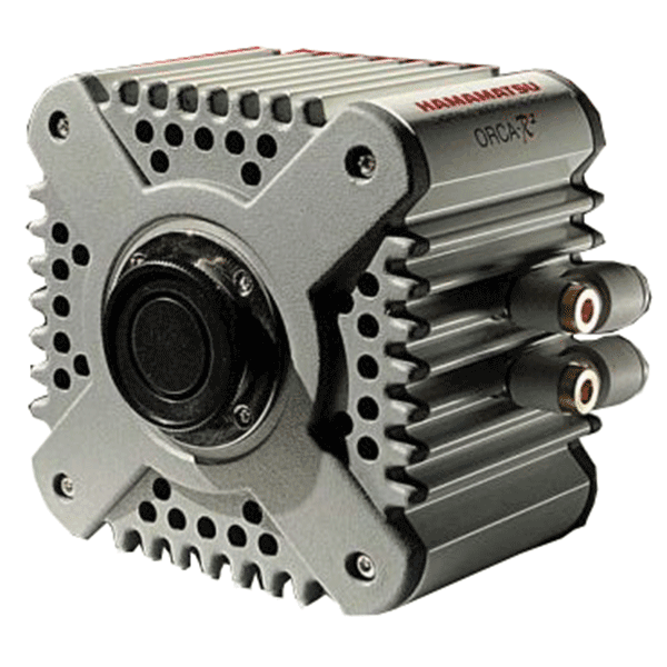 Hamamatsu ORCA-R2 C10600-10B - microscopemarketplace