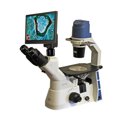Accu-Scope EXI-310 Inverted Trinocular Microscope with Plan Phase Objectives (Tissue Culture Microscope) - microscopemarketplace