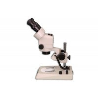 Meiji EMZ-8UD Stereo Microscope on PLS-1 Plan Stand - microscopemarketplace