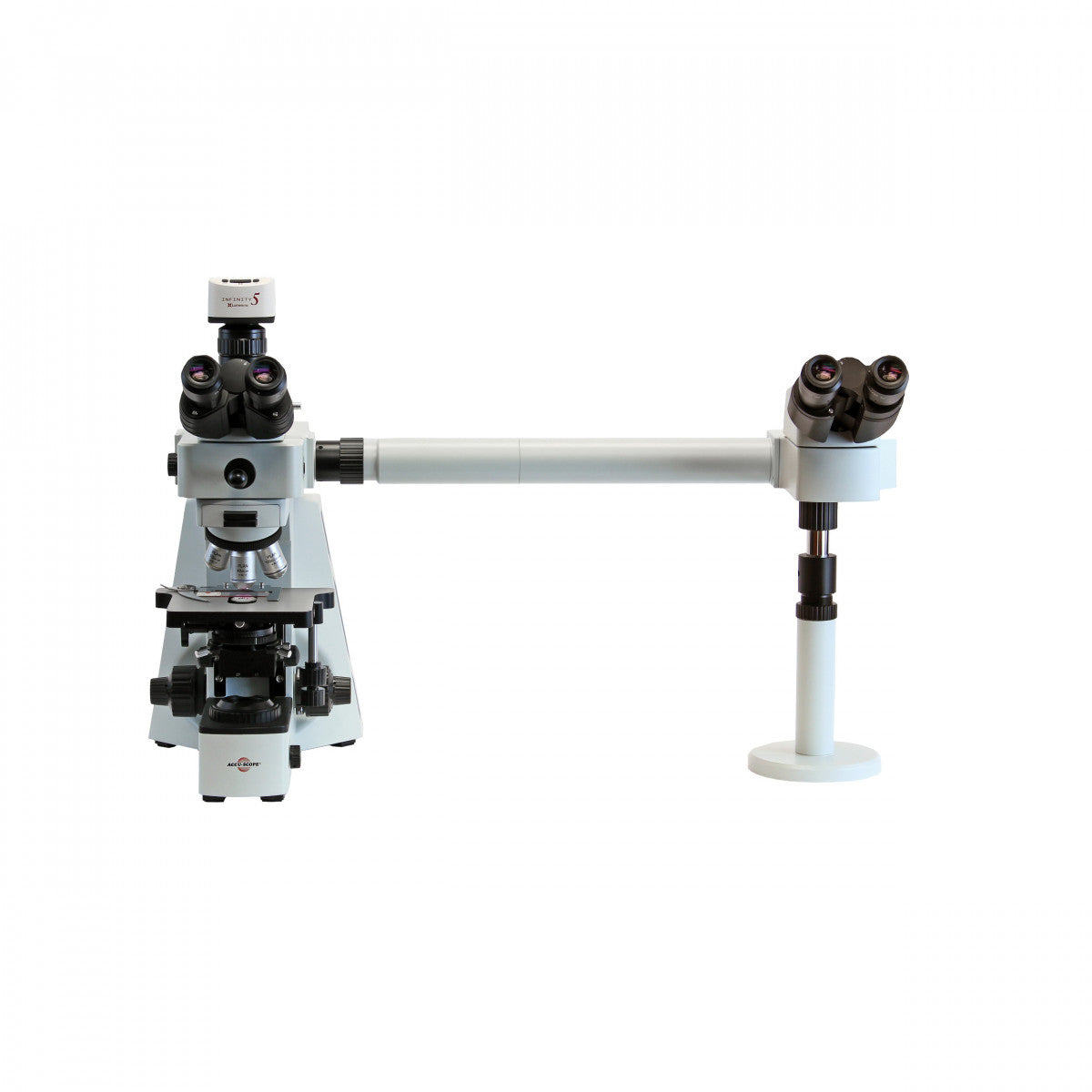 AccuScope Dual Observer Accessory Side by Side Microscope Marketplace