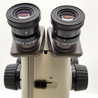 Nikon Stereo Microscope SMZ-U with Transmitted Light Stand - microscopemarketplace