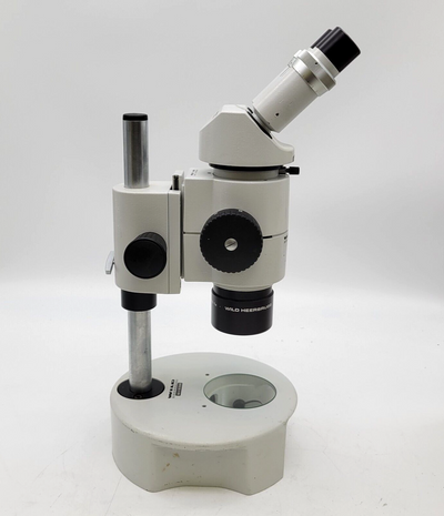 Wild Heerbrugg Stereo Microscope M8 with Binocular Head and Stand - microscopemarketplace