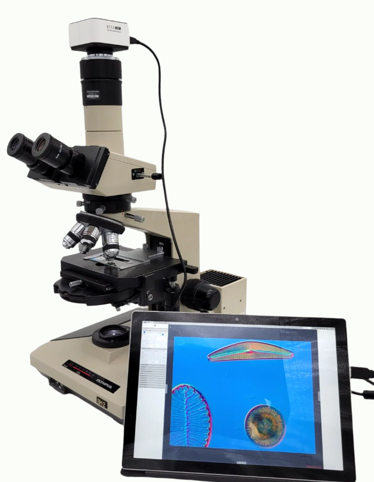 Olympus Microscope BH2 with DIC / NIC, Trinocular Head, and Camera BH-2 ...