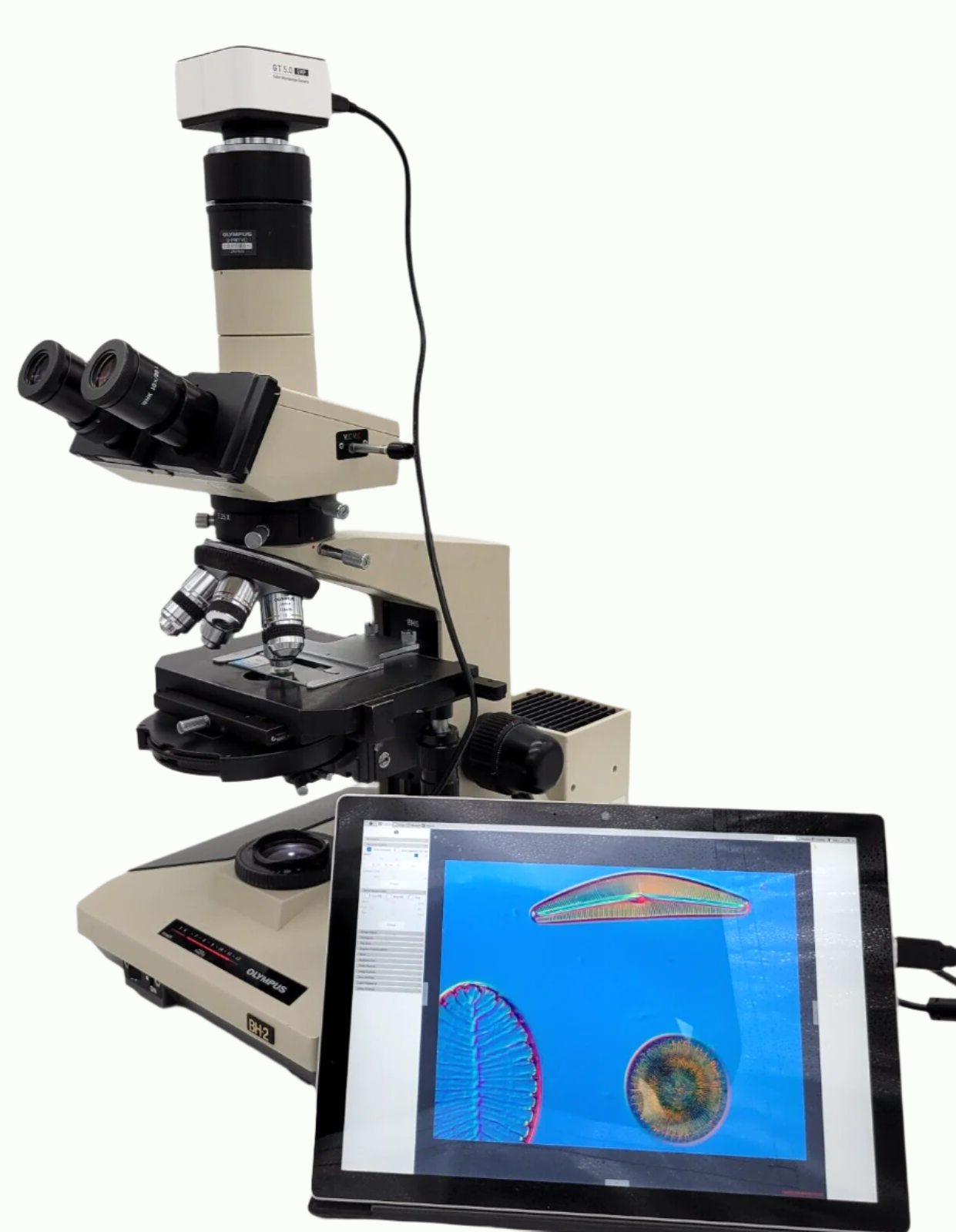 Olympus Microscope BH2 with DIC / NIC, Trinocular Head, and Camera BH-2 - microscopemarketplace