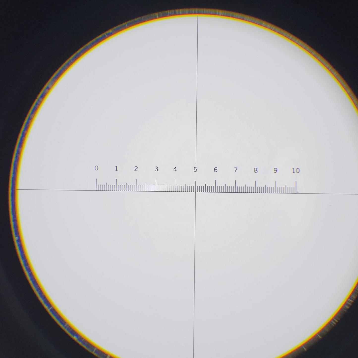 Leitz Microscope Eyepieces Periplan 10x/18 Focusable with Reticle - microscopemarketplace