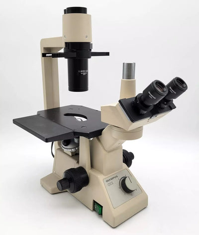 Olympus Microscope CK2 with Phase Contrast and Trinocular Head Tissue Culture - microscopemarketplace