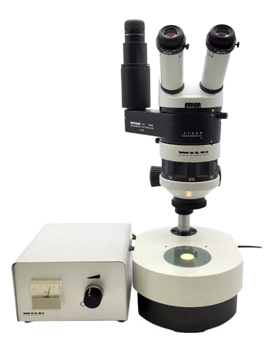 Wild Heerbrugg Stereo Microscope M5A with Phototube and Transmitted Light Base - microscopemarketplace