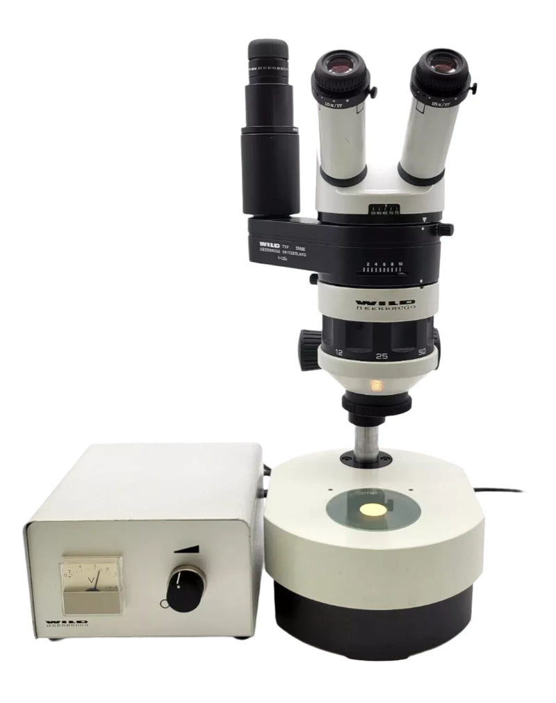 Wild Heerbrugg Stereo Microscope M5A with Phototube and Transmitted Light Base - microscopemarketplace