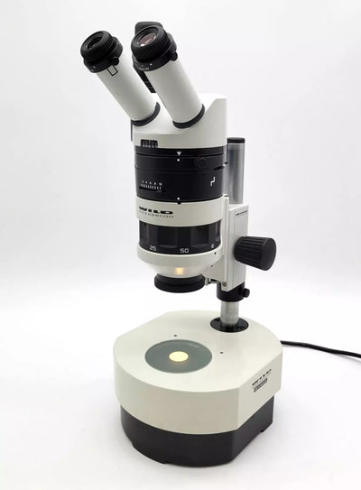 Wild Heerbrugg Stereo Microscope M5A with Phototube and Transmitted Light Base - microscopemarketplace