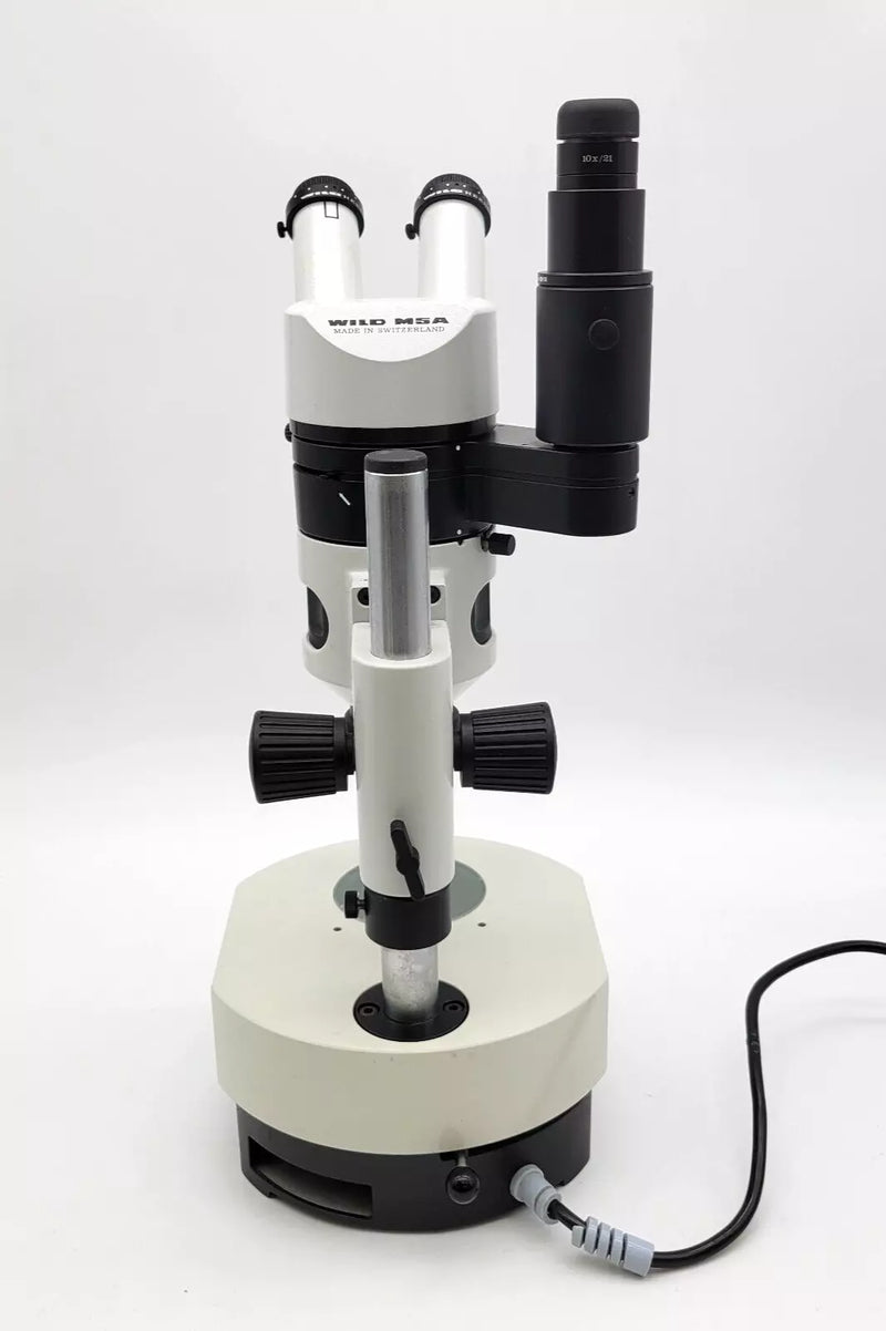 Wild Heerbrugg Stereo Microscope M5A with Phototube and Transmitted Light Base - microscopemarketplace