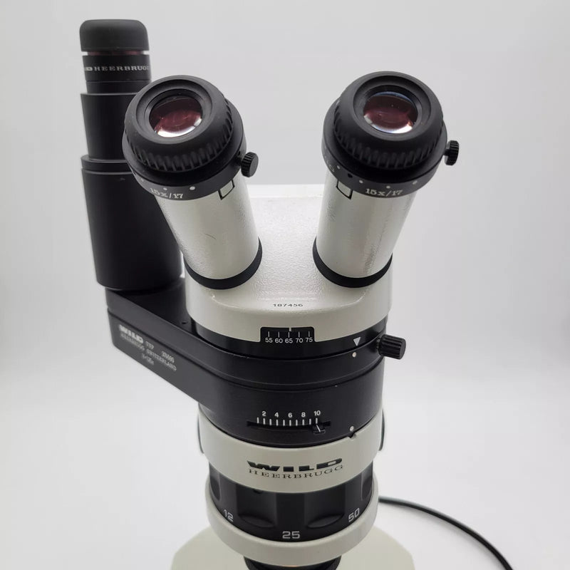 Wild Heerbrugg Stereo Microscope M5A with Phototube and Transmitted Light Base - microscopemarketplace