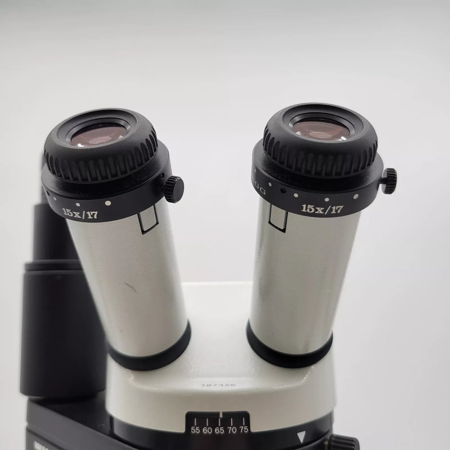 Wilde Microscope Wild Heerbrugg Stereo Microscope M5A with Phototube and Transmitted Li