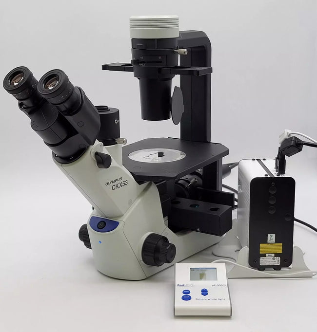 Olympus Microscope CKX53 with Phase Contrast and CoolLED Fluorescence - microscopemarketplace