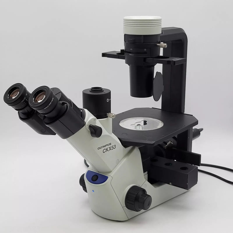 Olympus Microscope CKX53 with Phase Contrast and CoolLED Fluorescence - microscopemarketplace