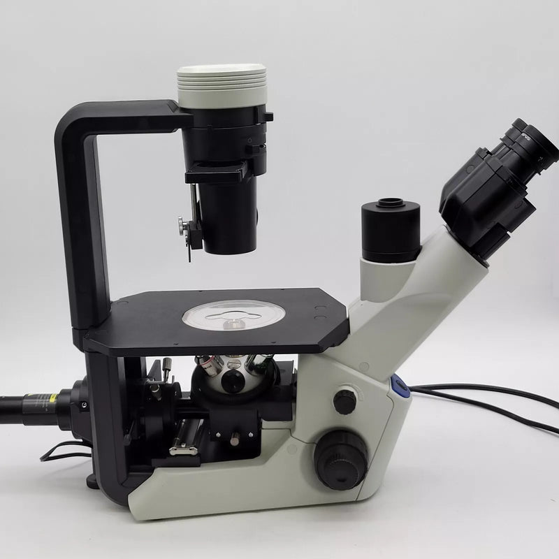 Olympus Microscope CKX53 with Phase Contrast and CoolLED Fluorescence - microscopemarketplace