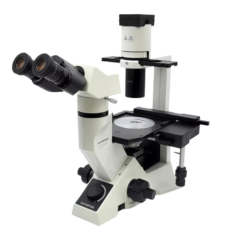 Olympus Microscope CKX41 with Phase Contrast and XY Stage | Tissue Culture - microscopemarketplace