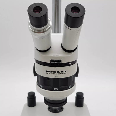 Wild Heerbrugg Stereo Microscope M5A with Stand - microscopemarketplace